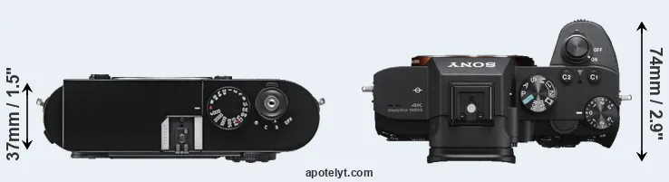 Compare M9 versus A7 III top