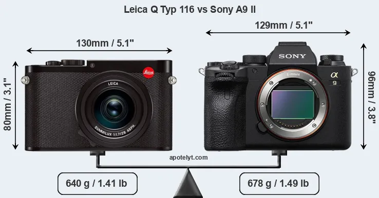 Size Leica Q Typ 116 vs Sony A9 II