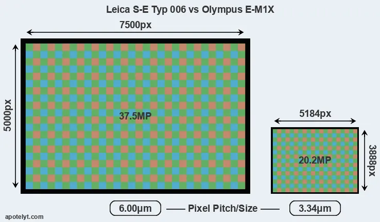 S-E Typ 006 versus E-M1X MP