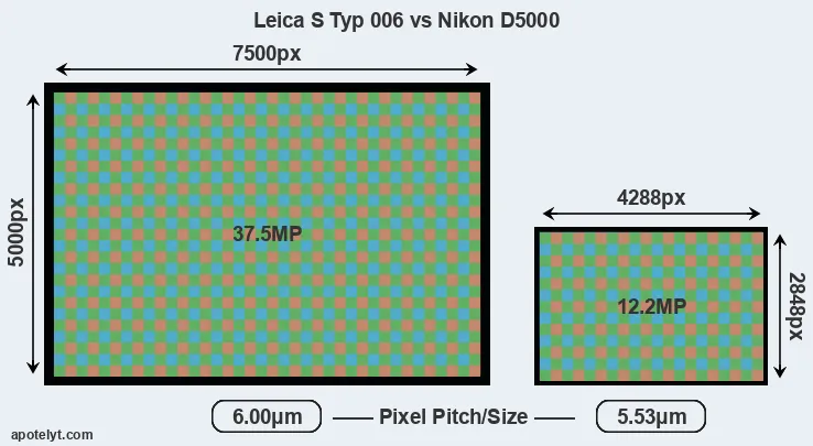 S Typ 006 versus D5000 MP