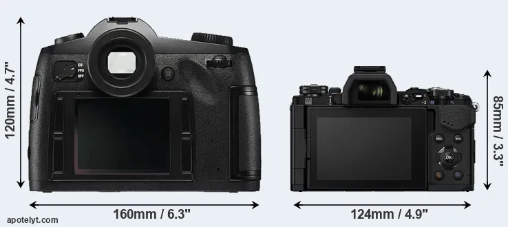 Comparison S Typ 006 or E-M5 II rear