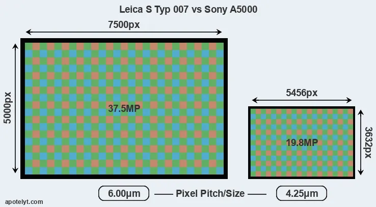 S Typ 007 versus A5000 MP