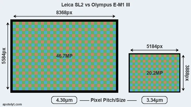 Leica SL2 versus E-M1 III MP