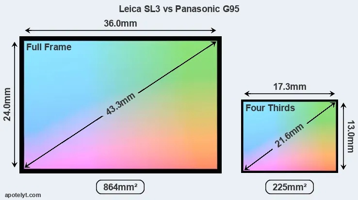 Leica SL3 and Panasonic G95 sensor measures