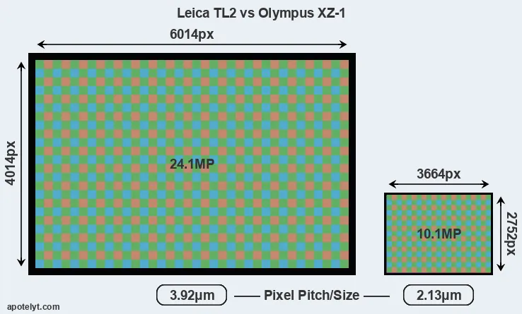 TL2 versus XZ-1 MP