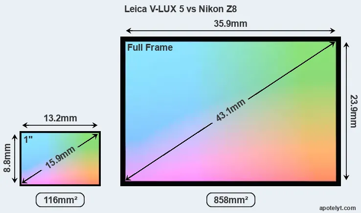 Leica V-LUX 5 and Nikon Z8 sensor measures