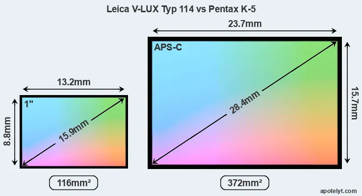 Leica V-LUX Typ 114 and Pentax K-5 sensor measures