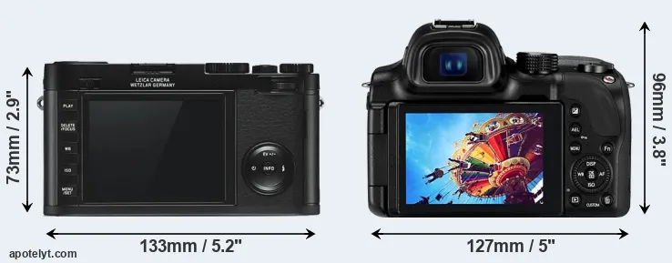 Comparison X Typ 113 or NX30 rear