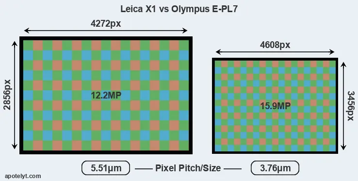 X1 versus E-PL7 MP