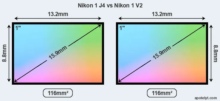 Nikon 1 J4 and Nikon 1 V2 sensor measures