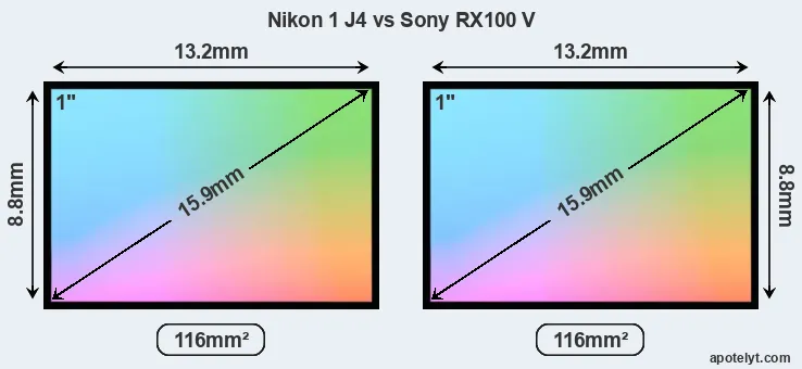 Nikon 1 J4 and Sony RX100 V sensor measures