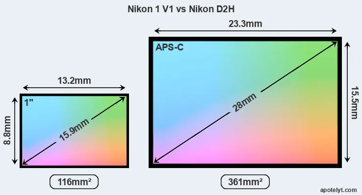 Nikon 1 V1 and Nikon D2H sensor measures