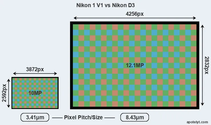 V1 versus D3 MP