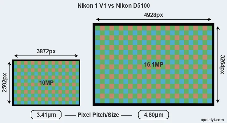 V1 versus D5100 MP