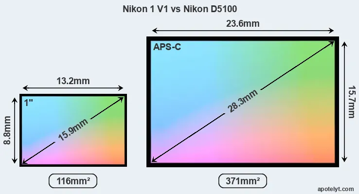 Nikon 1 V1 and Nikon D5100 sensor measures