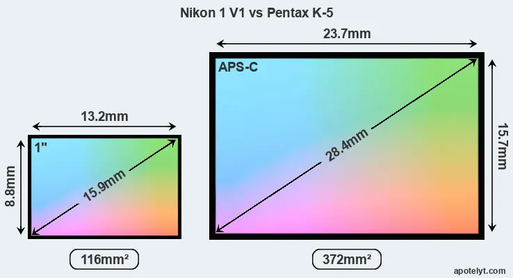 Nikon 1 V1 and Pentax K-5 sensor measures