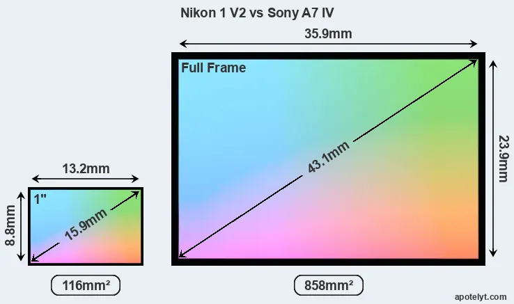 Nikon 1 V2 and Sony A7 IV sensor measures
