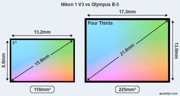 Nikon 1 V3 and Olympus E-3 sensor measures