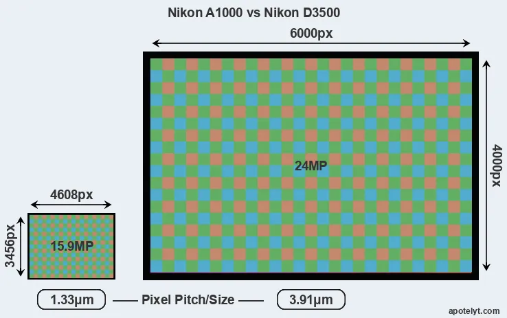 A1000 versus D3500 MP