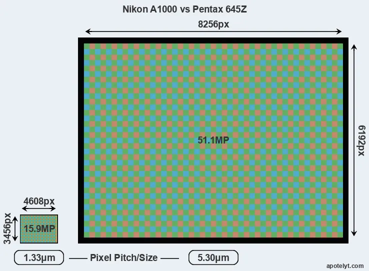 A1000 versus 645Z MP