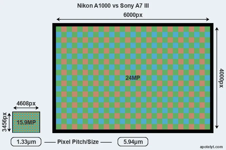 A1000 versus A7 III MP