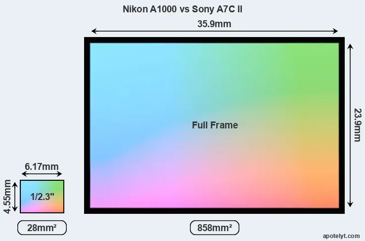Nikon A1000 and Sony A7C II sensor measures