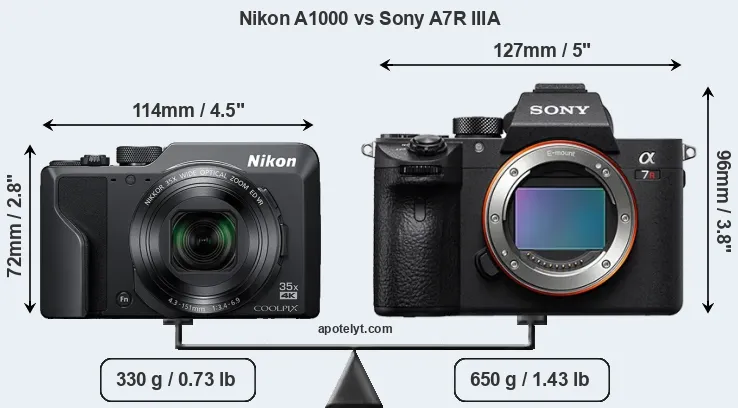 Size Nikon A1000 vs Sony A7R IIIA