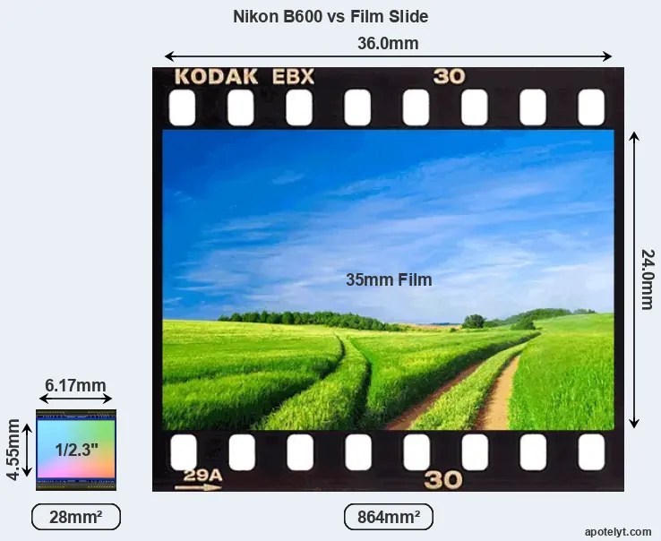 Nikon B600 sensor measures
