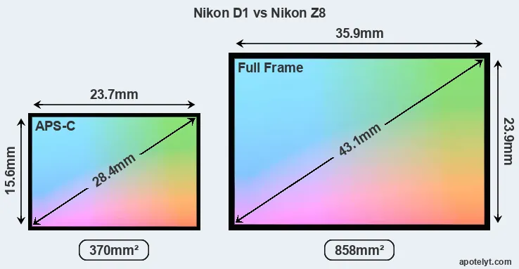 Nikon D1 and Nikon Z8 sensor measures