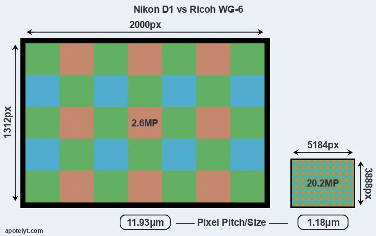 D1 versus WG-6 MP