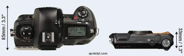 Compare D1 versus WG-6 top
