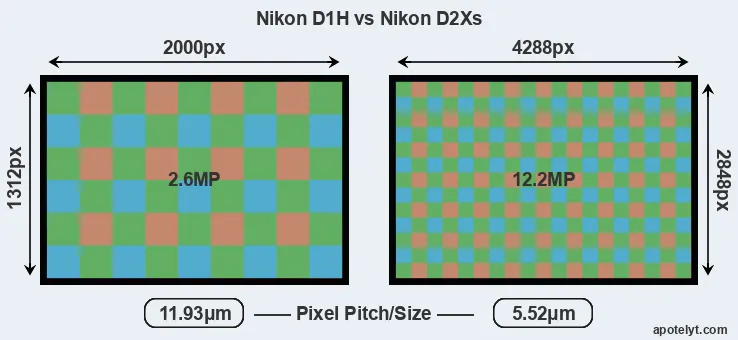 D1H versus D2Xs MP