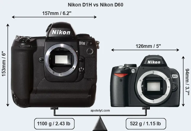 Size Nikon D1H vs Nikon D60