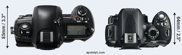 Compare D1H versus D60 top