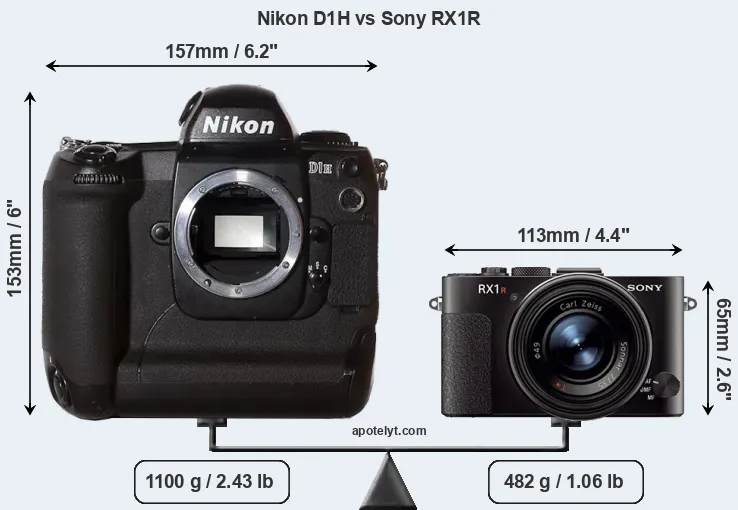 Size Nikon D1H vs Sony RX1R