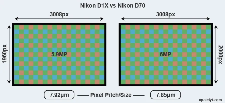 D1X versus D70 MP