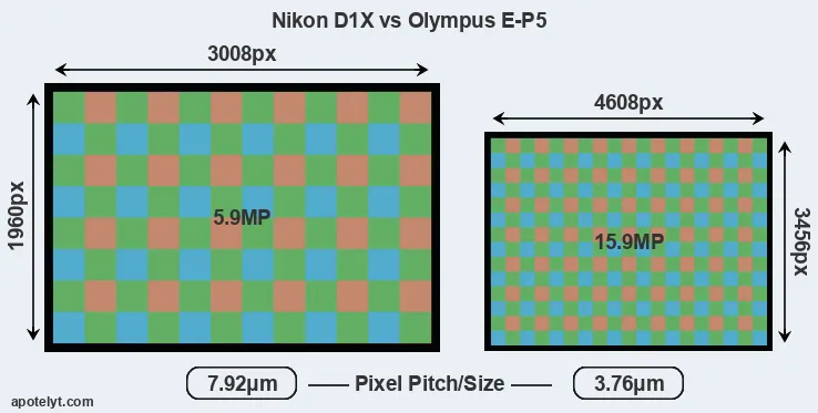 D1X versus E-P5 MP