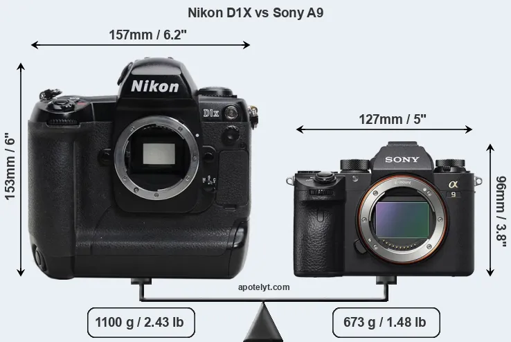 Size Nikon D1X vs Sony A9