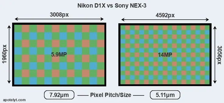 D1X versus NEX-3 MP