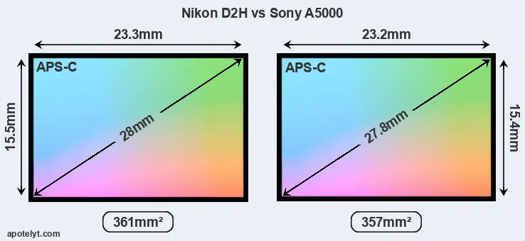 Nikon D2H and Sony A5000 sensor measures