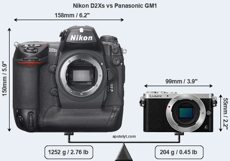 Size Nikon D2Xs vs Panasonic GM1