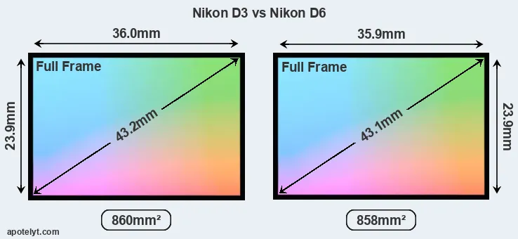 Nikon D3 and Nikon D6 sensor measures