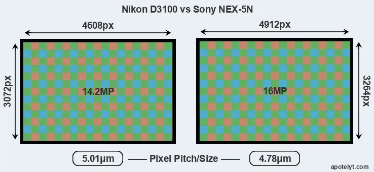 D3100 versus NEX-5N MP