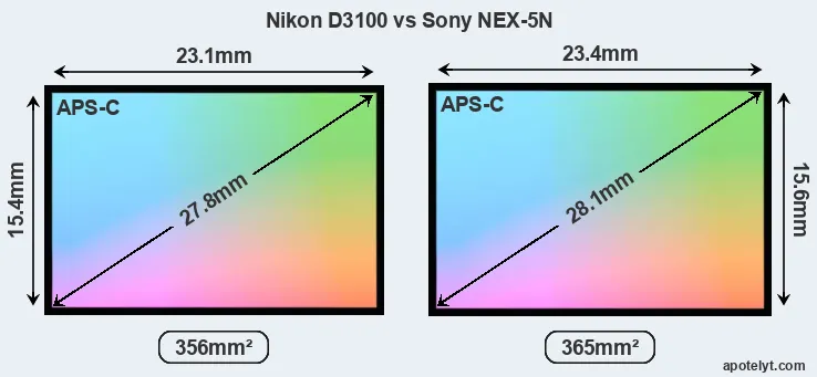 Nikon D3100 and Sony NEX-5N sensor measures