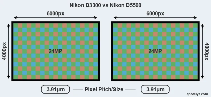D3300 versus D5500 MP