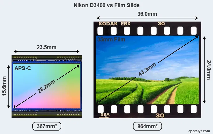 Nikon D3400 sensor measures