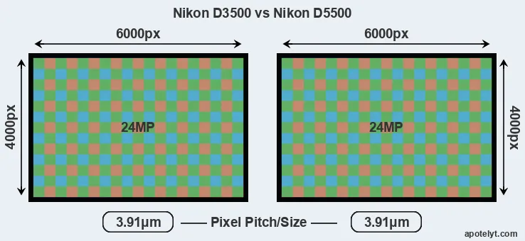 D3500 versus D5500 MP