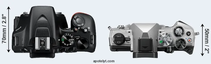 Compare D3500 versus OM-5 top