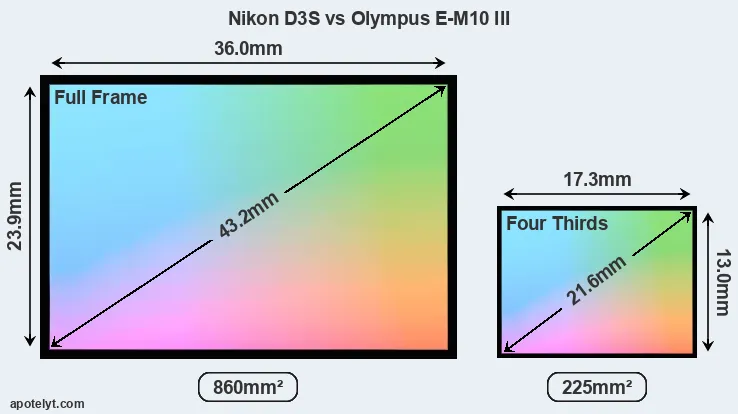 Nikon D3S and Olympus E-M10 III sensor measures
