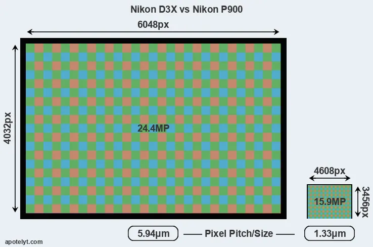 D3X versus P900 MP